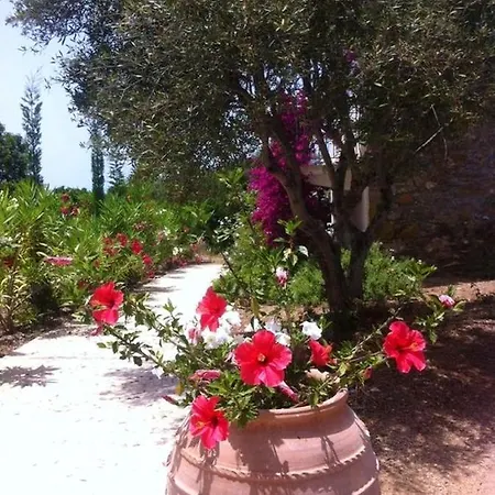 6 Bedrooms House With Sea View Furnished Garden And Wifi At Kakovatos * Neochori (Zacharo)