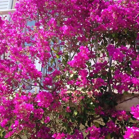 Сasa de vacaciones 6 Bedrooms House With Sea View Furnished Garden And Wifi At Kakovatos