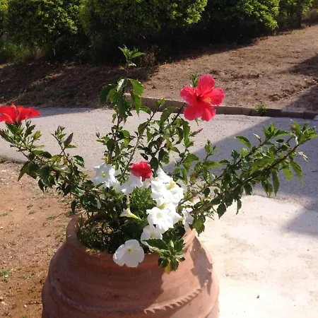 6 Bedrooms House With Sea View Furnished Garden And Wifi At Kakovatos Сasa de vacaciones Neochori (Zacharo)